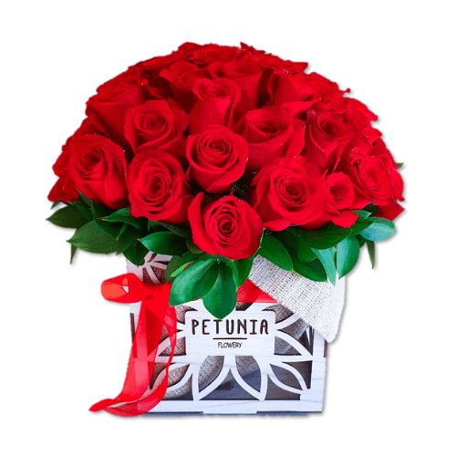 Giant box 55 rosas