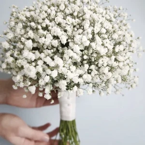 Bouquet de gipsofylia